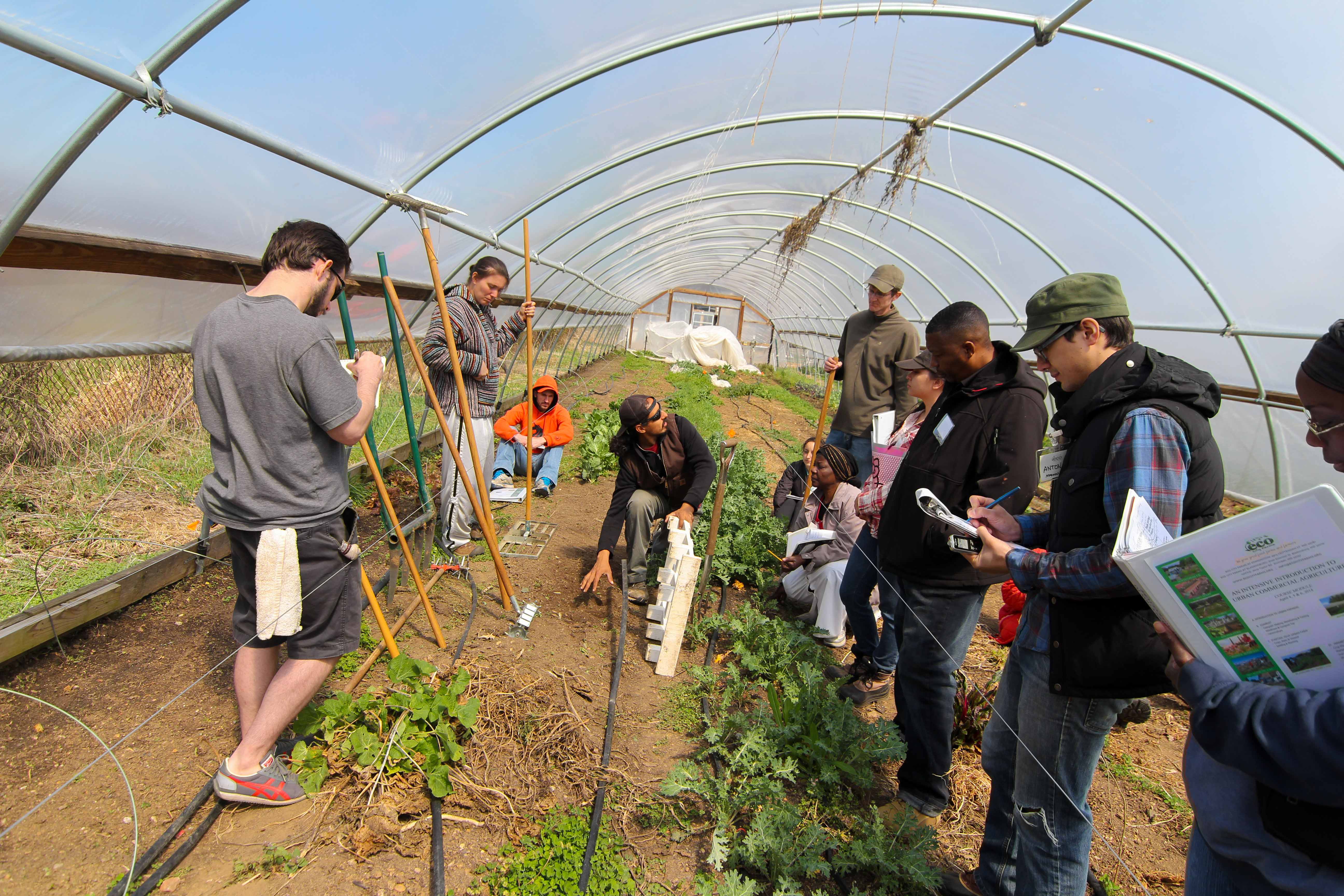 ECO City Farms Urban Agriculture Class Spring 2014