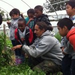 Schoolkids in the hoophouse