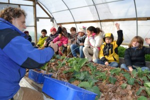 ECO School Visit 4