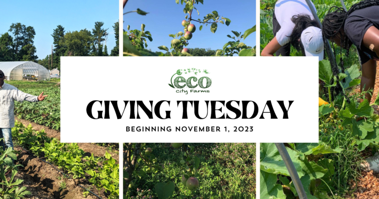 Giving Tuesday 2023